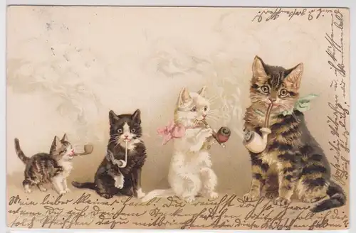 56625 Ak 4 Katzen rauchen Pfeife 1899