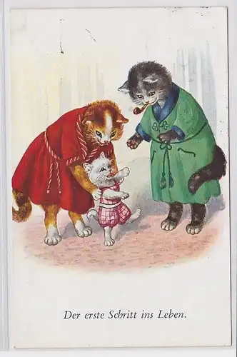 87822 Humor Ak Katzenfamilie "Der erste Schritt ins Leben" 1930