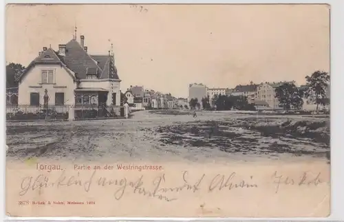 94159 Ak Torgau Partie an der Westringstrasse 1906