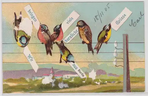 90831 Ak Wir bringen viele herzliche Grüße aus Berlin mit 6 Vögeln 1905