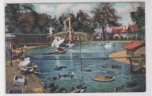 77286 AK Halle a.S. Zoologischer Garten 1913