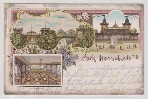 98084 Ak Lithographie Gruß aus Park Herrenhaide bei Burgstädt 1899