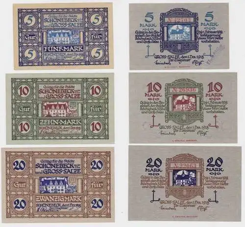 5,10 & 20 Mark Banknoten Notgeld Stadt Schönbeck und Gross-Salze 1918 (134900)