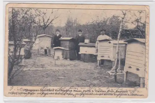 85182 Ak Helfta bei Eisleben Bienen Königinnen Zuchtstand von Friedrich Hoyer