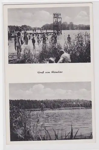 906416 Mehrbild Ak Gruß aus Hämelsee um 1950