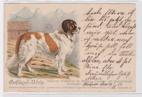 69726 Reklame Ak Geflügel Börse illustriertes Wochenblatt Leipzig 1904