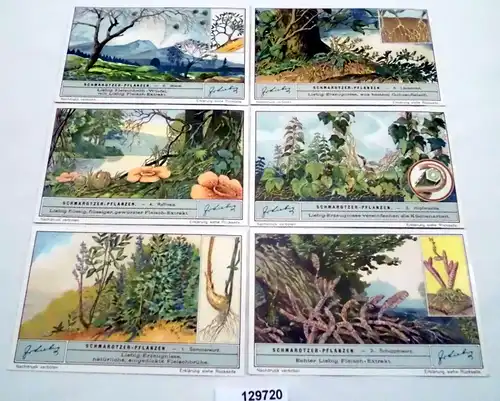 Liebigbilder Serie Nr. 1032 Schmarotzer-Pflanzen 1932 (5/129720)