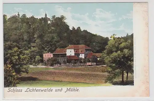 93421 Ak Schloss Lichtenwalde und Mühle - Gesamtansicht