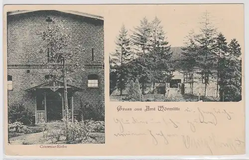 94272 Mehrbild Ak Gruss aus Amt Wörmlitz - Centenar-Eiche 1906