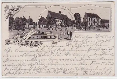 94962 Ak Gruß aus Bad Schmiedeberg, Badehaus, Rathaus, Villa Moltke, 1899