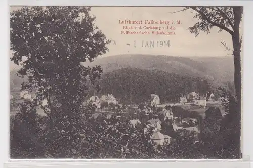 93549 Ak Falkenberg i.M. Blick v.d. Carlsburg auf die Villenkolonie 1914