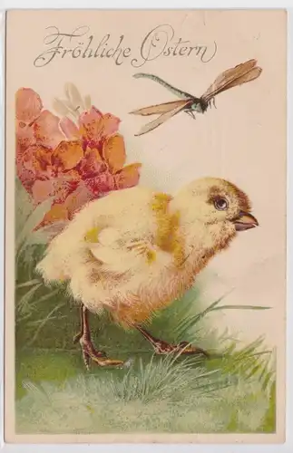 34746 AK Fröhliche Ostern Küken und Libelle 1909