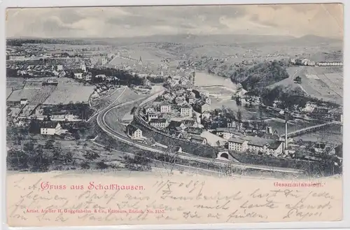 35613 Ak Gruss aus Schaffhausen - Gesamtansicht 1899