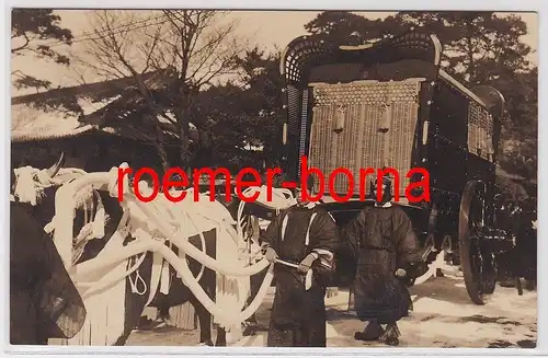 74009 Foto China Fuhrwerk mit geschmückten Ochsen um 1920