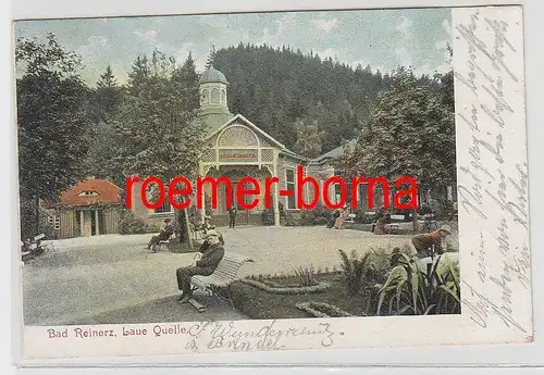 74207 Ak Bad Reinerz Duszniki-Zdrój laue Quelle 1905
