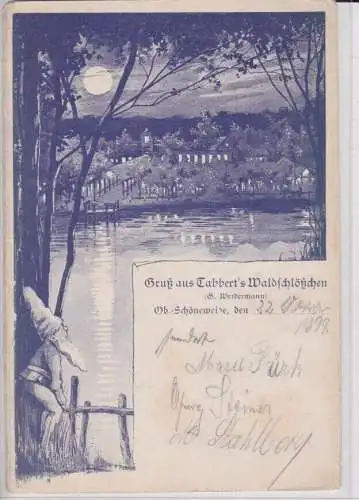 907820 Zwergen Ak Gruß aus Tabbert´s Waldschlößchen Ober-Schöneweide 1899