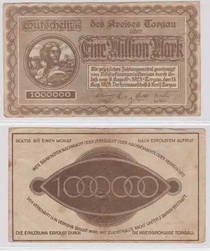 1 Million Mark Banknote Inflation Kreis Torgau 9.August 1923 (137663)