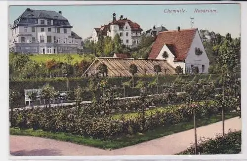 89139 AK Chemnitz - Rosarium um 1917
