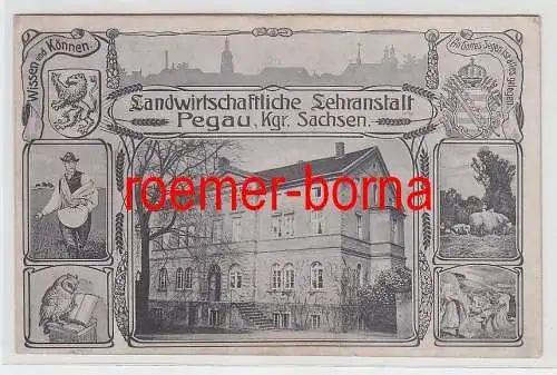 76990 Mehrbild Ak Landwirtschaftliche Lehranstalt Pegau Kgr.Sachsen um 1910