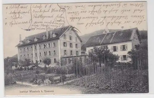 65347 Ak Institut Wiesholz b. Ramsen, Gebäudeansicht, Gartenpartie, 1908