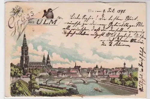 92761 Lithographie Ak Gruss aus Ulm a.D. - das Münster, Totalansicht 1898