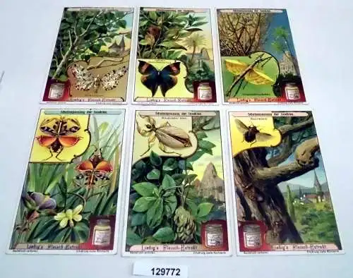 Liebigbilder Serie Nr. 885 Schutzanpassung der Insekten Jahrgang 1913 (5/129772)