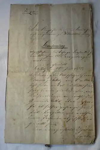 Kaufvertrag Colbitz Kgl. Pr. Landratsamt Wolmirstedt v. Schulenburg 1855 /115983