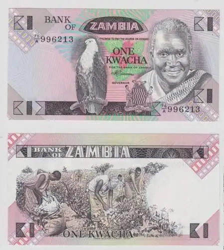 1 Kwacha Banknote Zambia Sambia 1980-88 kassenfrisch UNC Pick 23b (152149)