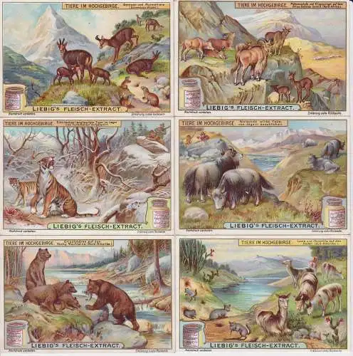 Liebigbilder Serie Nr. 827 Tiere im Hochgebirge Jahrgang 1911 (5/128250)