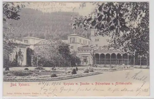13236 Ak Bad Reinerz Duszniki-Zdrój Palmenhaus 1906