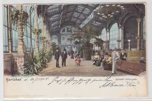 00442 AK Karlsbad (Karlovy Vary) - Sprudel-Colonnade, Palmengarten 1904