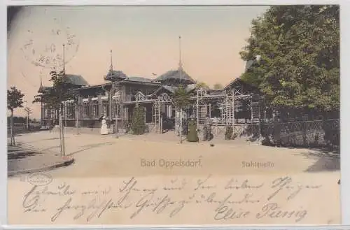 40936 AK Bad Oppelsdorf (Opolno-Zdrój) - Stahlquelle, Parkpartie 1904