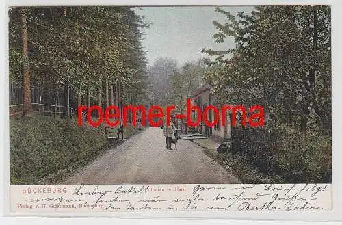 76481 Ak Bückeburg Colonien im Harrl 1904