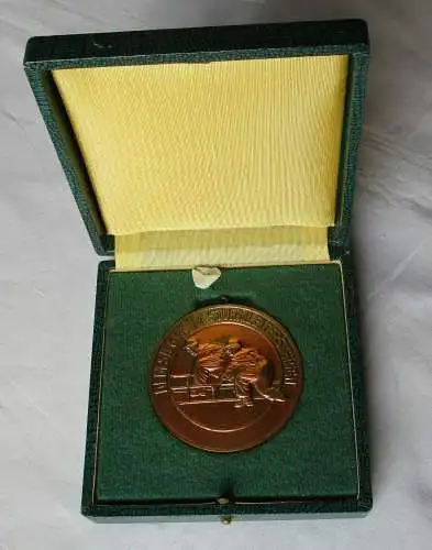 DDR Medaille Feuerwehr-Kampfsport Dem Sieger im Sturmleitersteigen (113179)