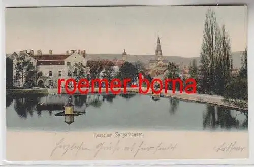 68783 Ak Rosarium Sangerhausen 1904