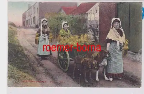 85104 Ak Belgien Hundefuhrwerk um 1910