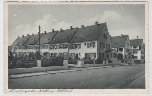 90801 Ak Traubengarten Siedlung in Fellbach 1947