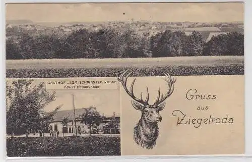 95076 Ak Gruß aus Ziegelroda, Gasthof "Zum schwarzen Ross", Totalansicht, 1916