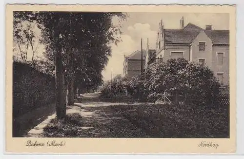 00632 Ak Dahme (Mark), Nordhag, Straßenansicht mit Stadtvillen, 1934