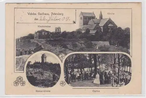 00083 Ak Petersberg, Klosterruine, Kirche, Bismarckturm, Gartenpartie, 1909
