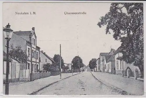 08463 Ak Neukalen i. M., Straßenansicht Chausseestraße, Stadtvillen, um 1920