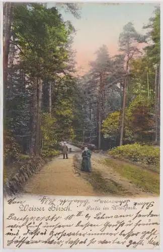 93063 AK Weisser Hirsch - Partie im Waldpark 1902