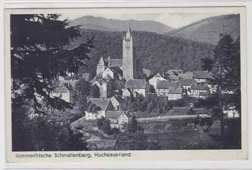 99424 Ak Sommerfrische Schmallenberg Hochsauerland - Gesamtansicht 1942