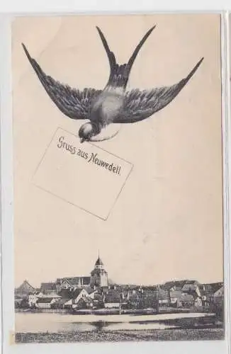 48810 Schwalben AK Gruss aus Neuwedell (Drawno) - Totale mit "Briefträger" 1906