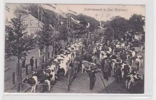 98204 Ak Zuchtviehmarkt in Leer (Ostfriesland) 1911