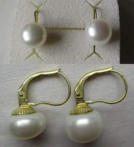 charmante 333er Gold Ohrringe mit perlmuttfarbener Perle (131468)