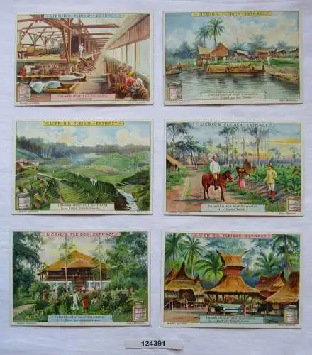 4/124391 Liebigbilder Serie Nr. 547 Tabakkultur auf Sumatra 1902