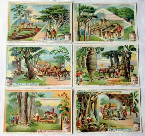 Liebigbilder Serie Nr. 651 Nutzhölzer Jahrgang 1905 (6/132855)