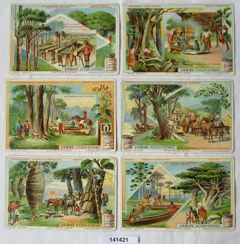 Liebigbilder Serie Nr. 651 Nutzhölzer Jahrgang 1905 (6/141421)