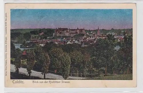 55380 Luna AK Colditz - Blick von der Rochlitzer Strasse 1906